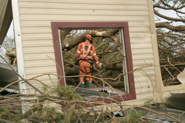 Best Tree Trimming and Pruning  in USA